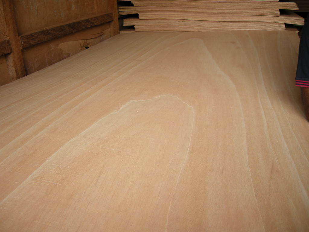 Indufor - Image - Case Studies - Plywood Feasibility and Market Study in Western Africa