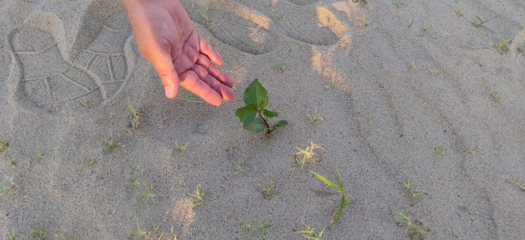 Indufor - Image - Case Studies - Rethinking Finance and Planning for Climate-Resilient Landscapes