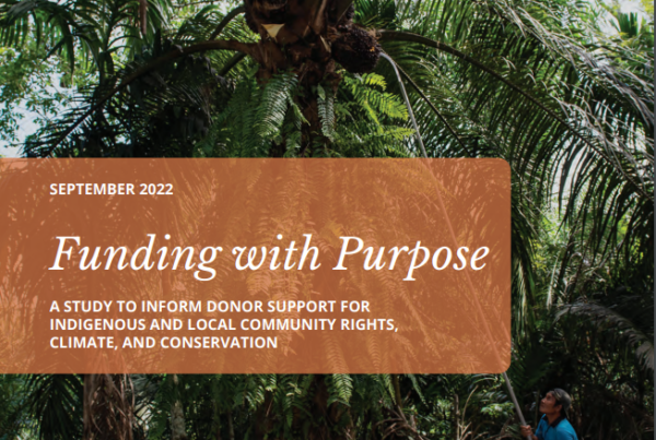 Indufor - Image - News - Indufor Releases New Research on the “Fit for Purpose” of Funding for Global Indigenous Peoples and Local Communities’ Tenure and Forest Governance
