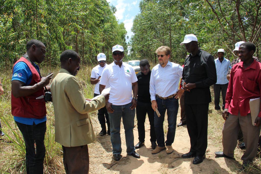 Indufor - Image - Case Studies - Private Forestry Programme (PFP) in Tanzania