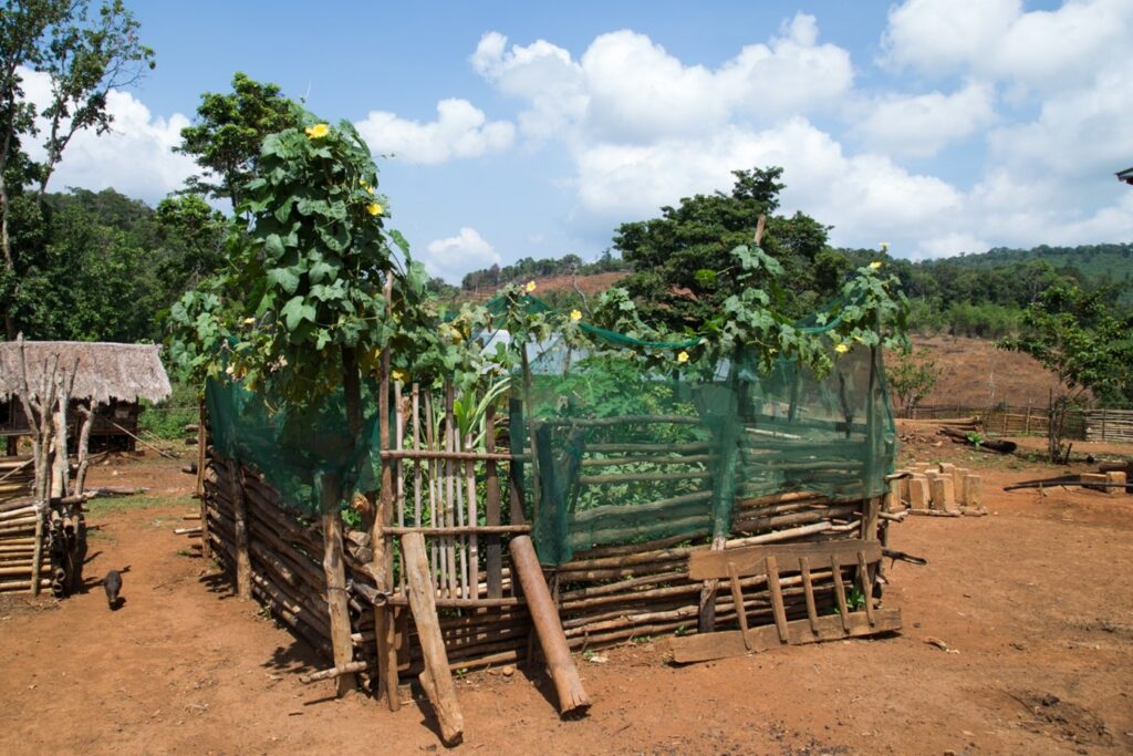 Indufor - Image - Case Studies - Carbon Assessment in the Context of Emission Reductions in Lao PDR