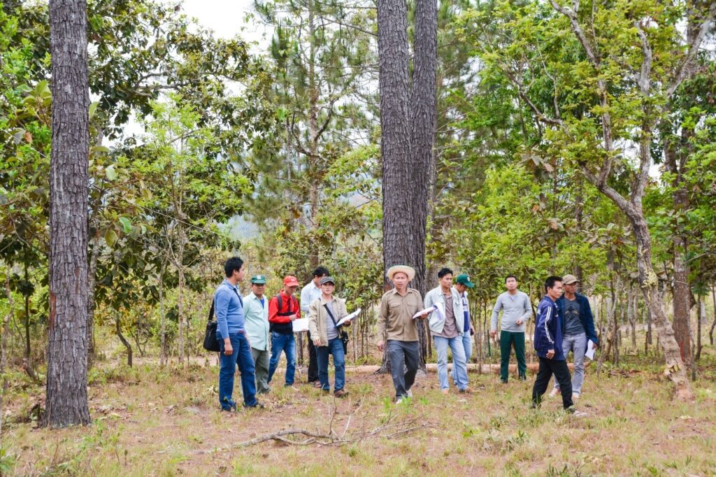 Indufor - Image - Case Studies - Due Diligence of Sawmill Company in Central EuropeThe SUFORD Projects in Lao PDR 2003-2021