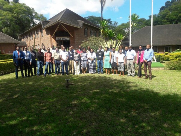 Indufor - Image - Case Studies - Climate Change Technical Assistance Program: Strategic Actions Supporting the Forest Sector in Zimbabwe