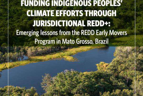 Indufor - Image - News - Emerging Findings on Jurisdictional REDD+ in Mato Grosso