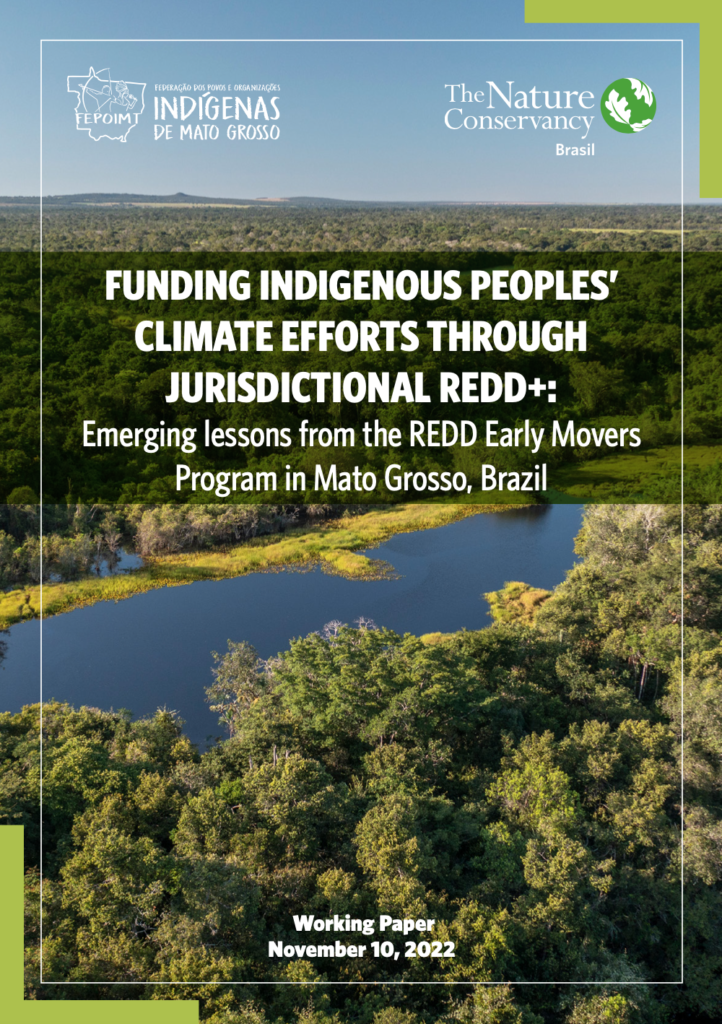 Indufor - Image - News - Emerging Findings on Jurisdictional REDD+ in Mato Grosso